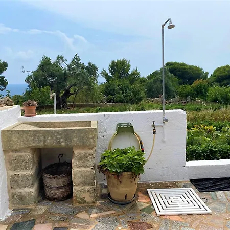 Pajara Alle Macchie * Torre Vado