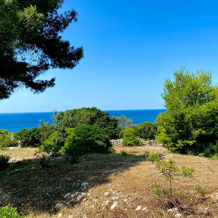 Pajara Alle Macchie * Torre Vado