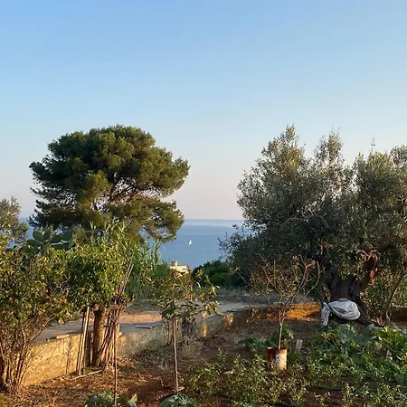 Pajara Alle Macchie Σπίτι διακοπών